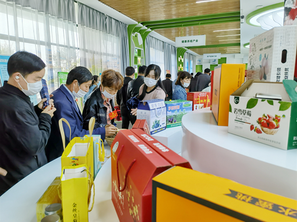 乡镇党代表参观经济社会发展成果 - 副本.jpg